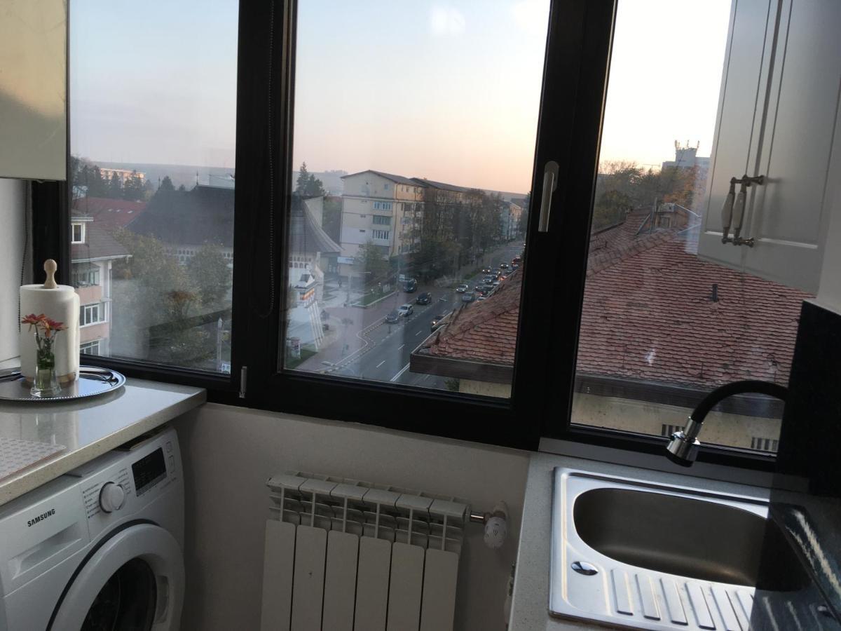 Splendid View Apartman Szucsáva Kültér fotó